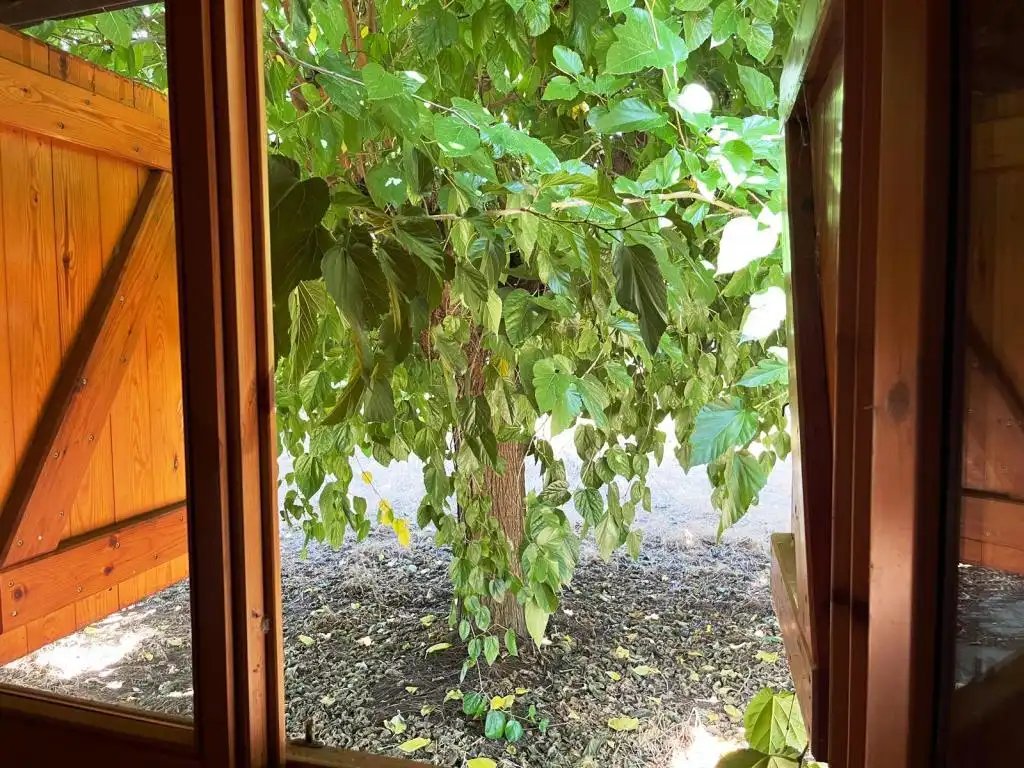 Garden of Houses for sale in Binéfar  with Private garden and Parquet flooring