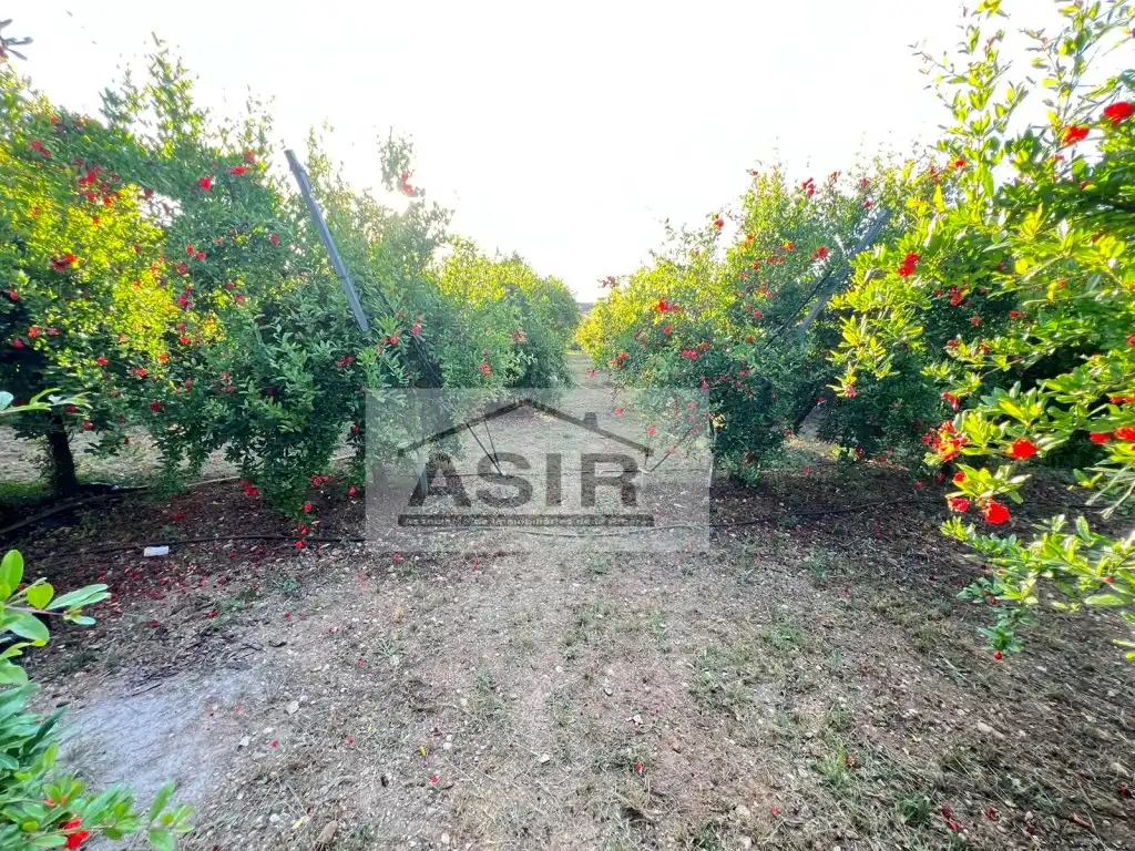 Villa à vendre à Calle Matilde Malo, imagen 37