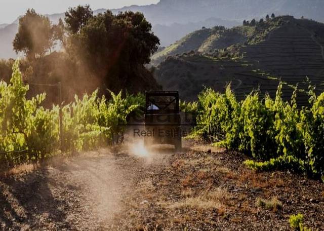 Finca rústica en Venta en T-710, 1 en Gratallops