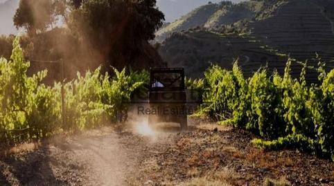 Foto 3 de Finca rústica en venda a T-710, 1, Gratallops, Tarragona