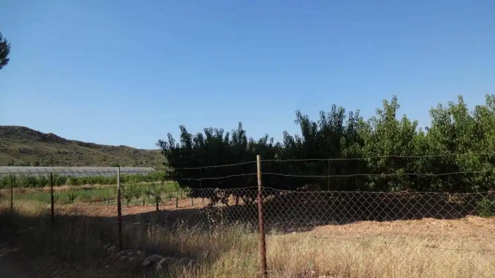 Rustikales Grundstück zum Verkauf in Paraje Carrascalejo, imagen 7