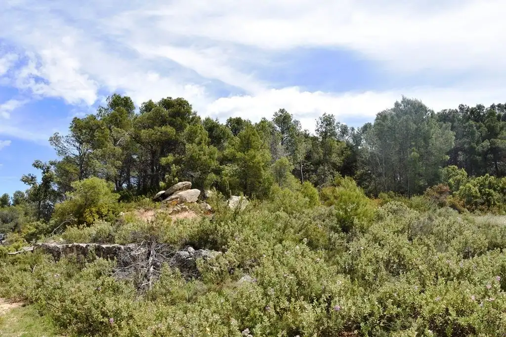 Terreni e lotti in vendita a Arens de Lledó, imagen 9