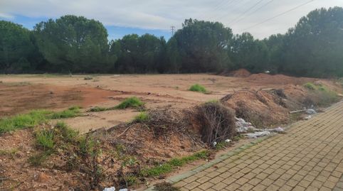 Foto 3 de Terreno industrial en venta en Avenida Dehesa del Piorno, 8, Lepe, Huelva