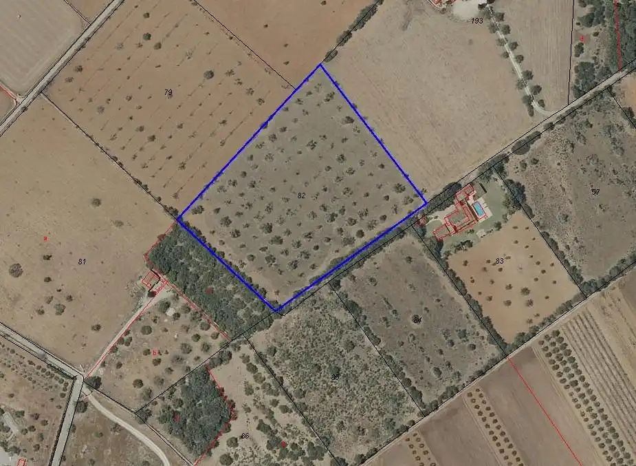 Residential land for sale in Zona Rústica - Interior, imagen 4