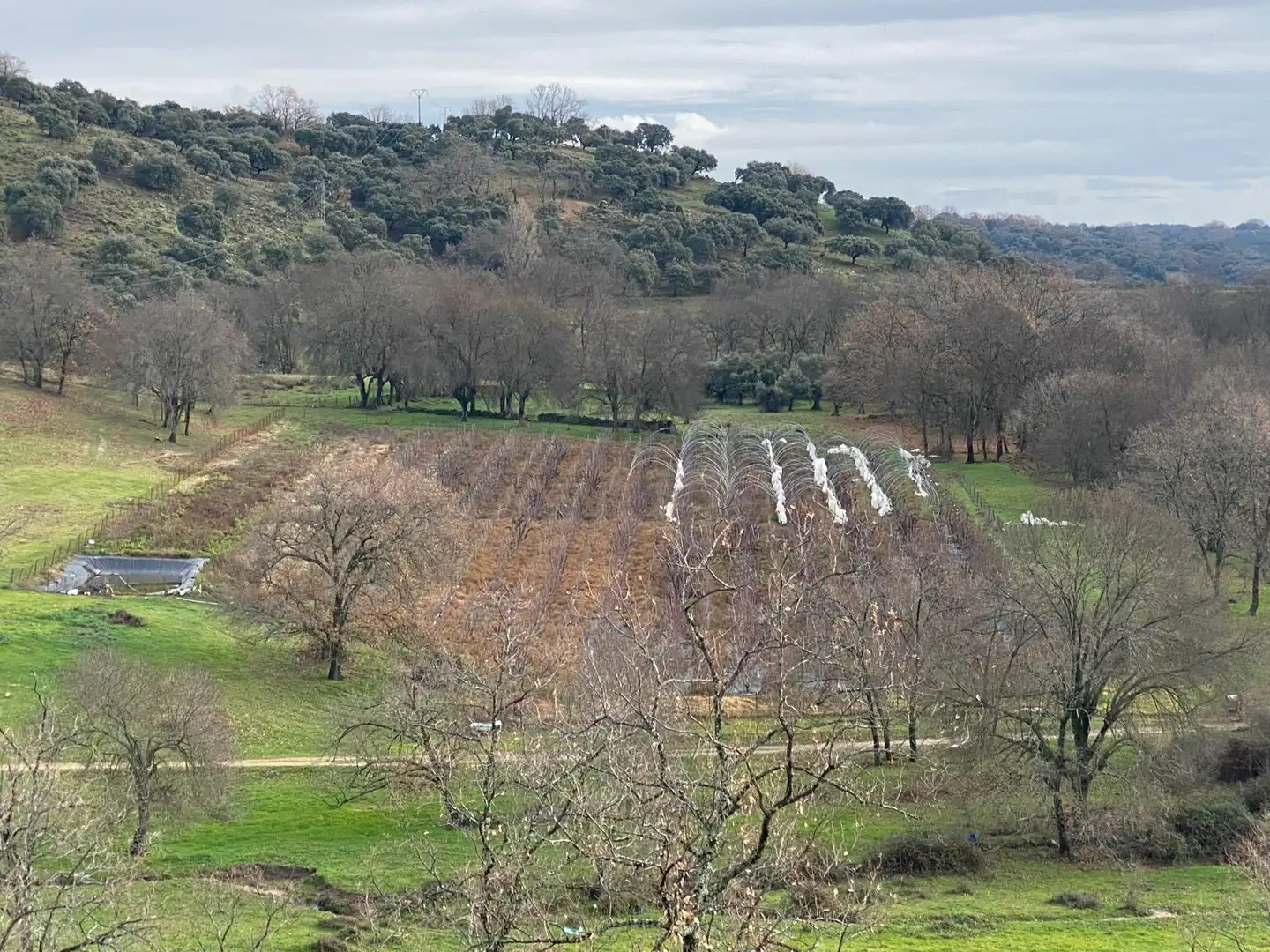 Terreni e lotti in vendita a Candeleda, imagen 33