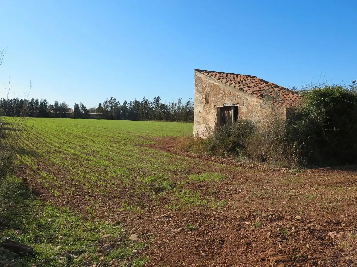 Rural land for sale in Godall, imagen 9