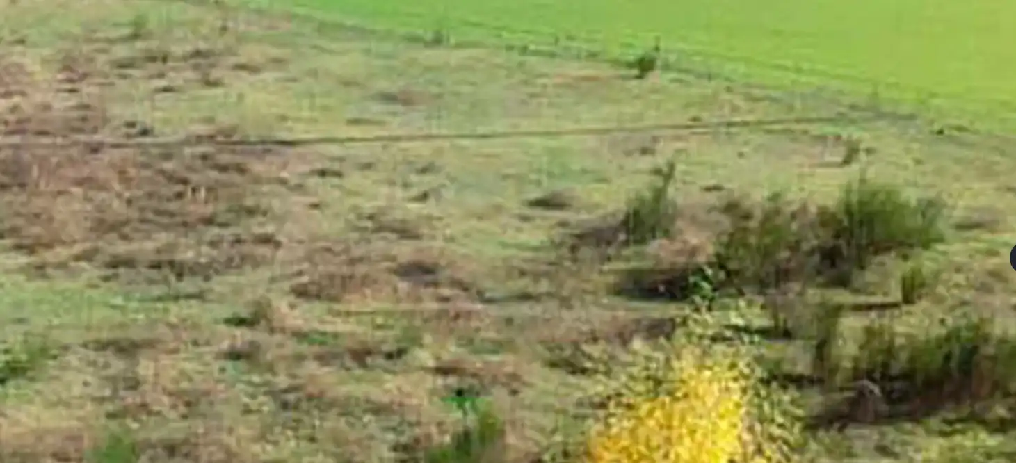 Rustikales Grundstück zum Verkauf in Ronda Pirineus, imagen 4