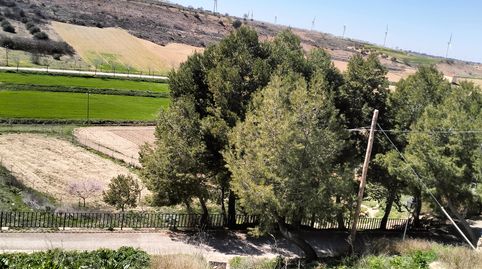 SOLAR EN MUNERA – UBICACIÓN PRIVILEGIADA Y VISTAS INMEJORABLES, imatge 3