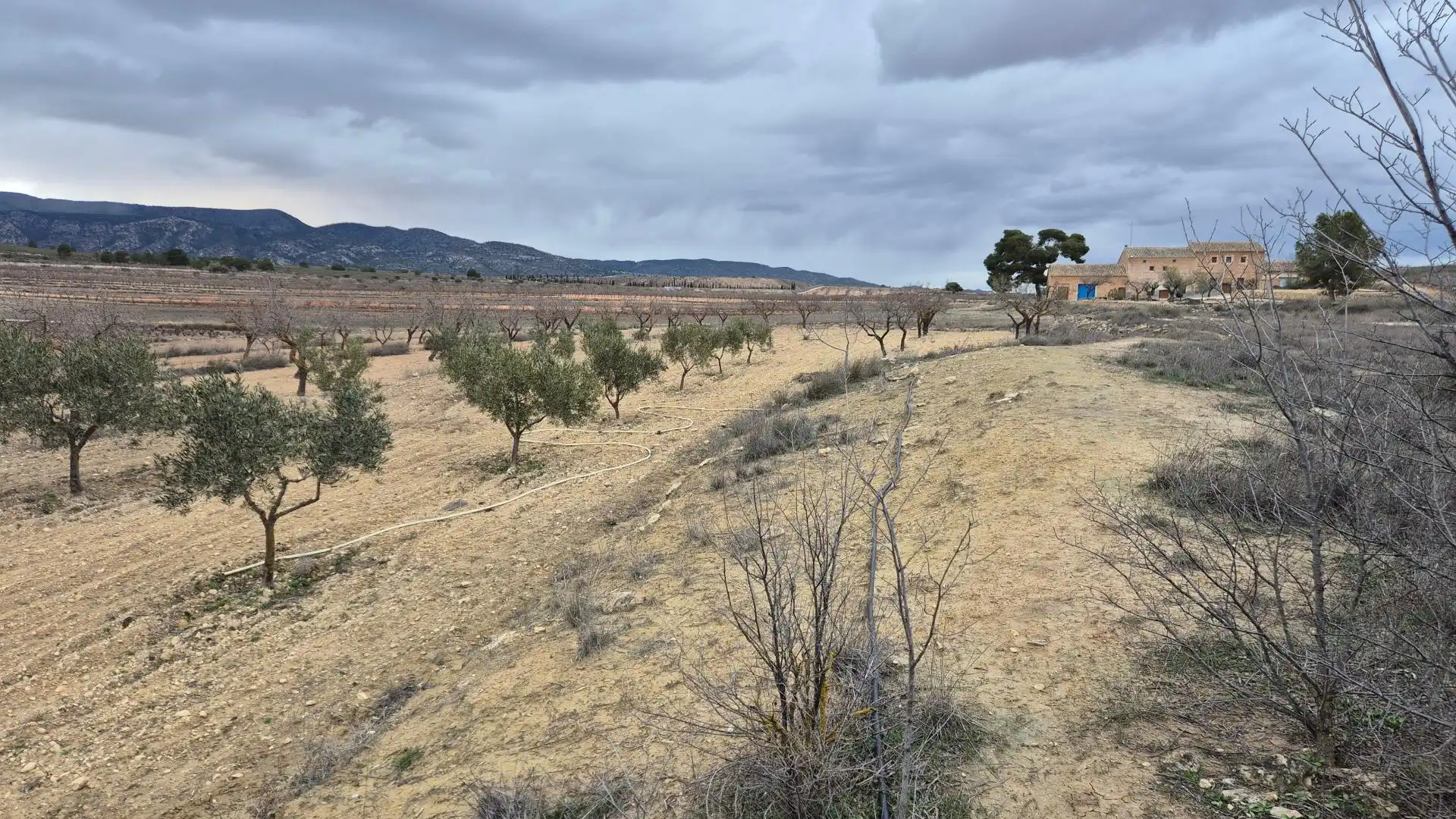 Country homes for sale in El Pinós / Pinoso  with Terrace