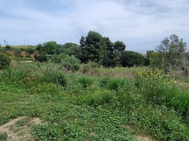 Terreni e lotti in vendita a Mijas pueblo