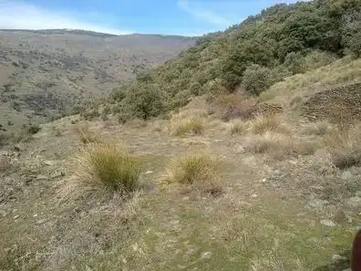 Rural land for sale in Laujar de Andarax, imagen 5