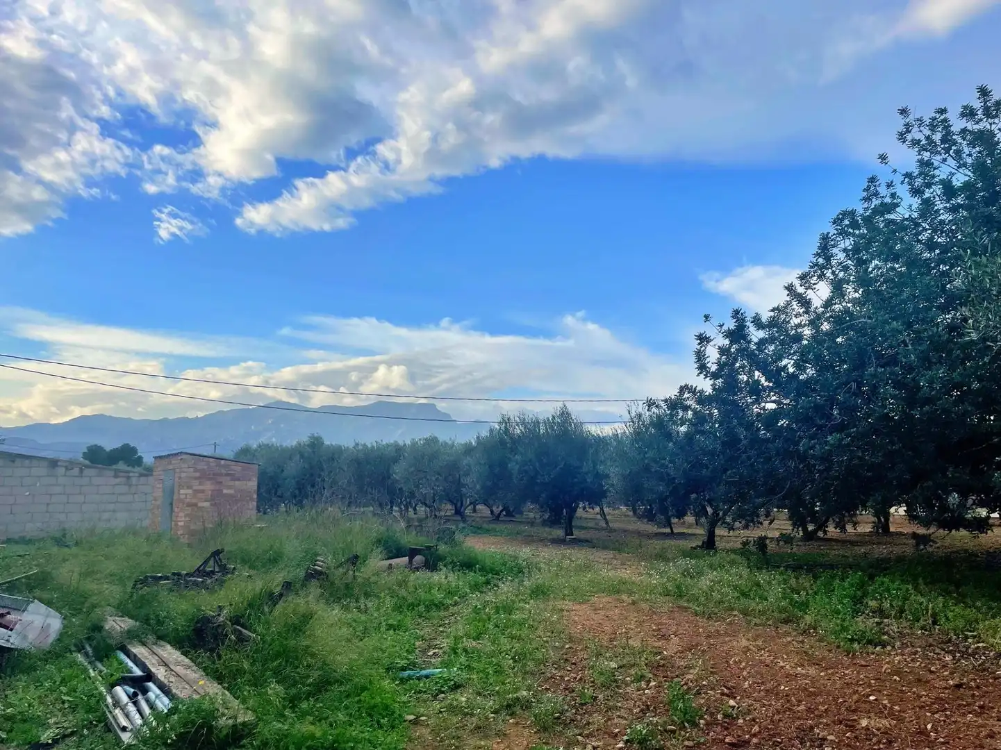Casa o chalet en venta en Tortosa
