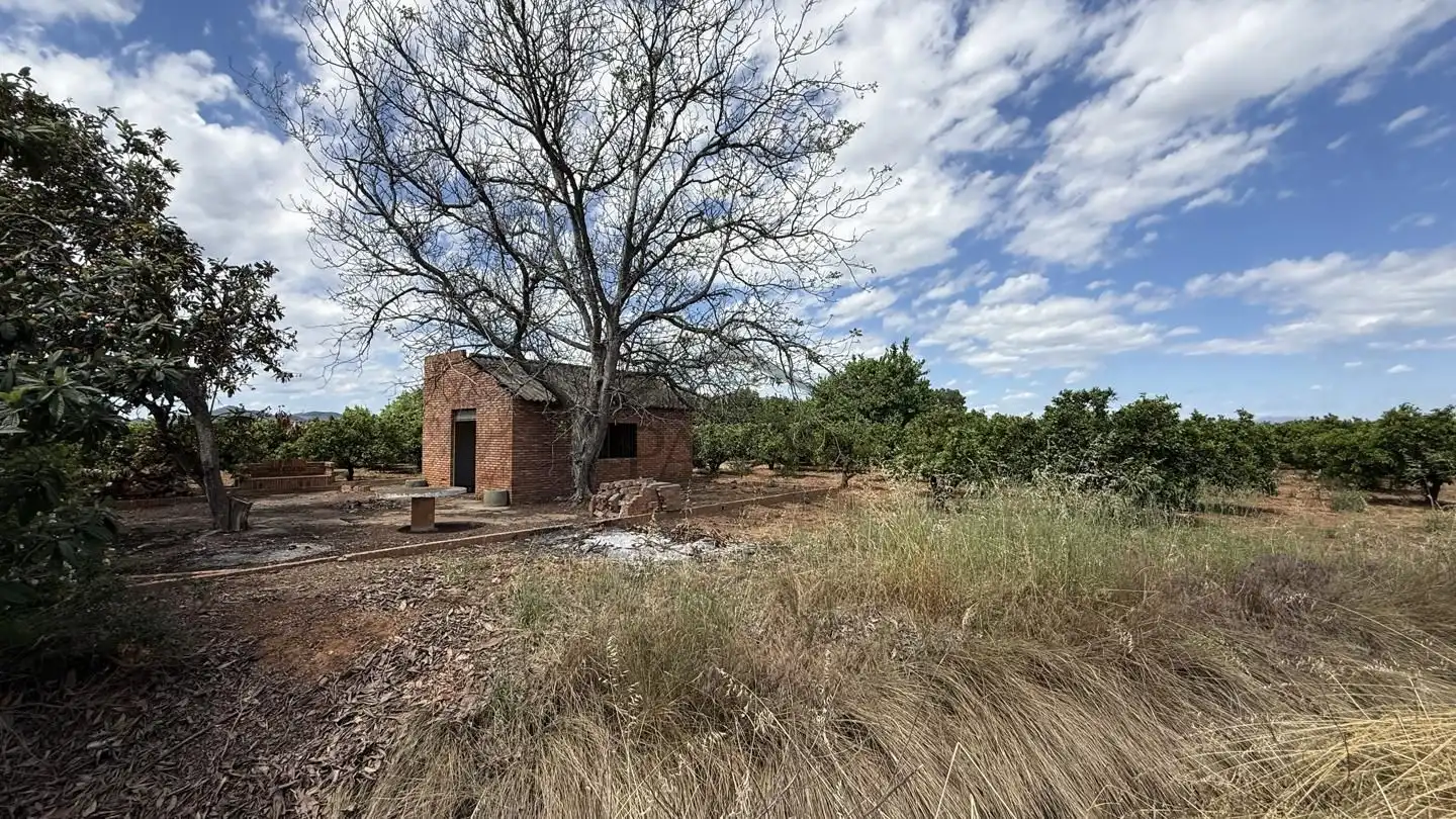 Exterior view of Land for sale in Rafelguaraf