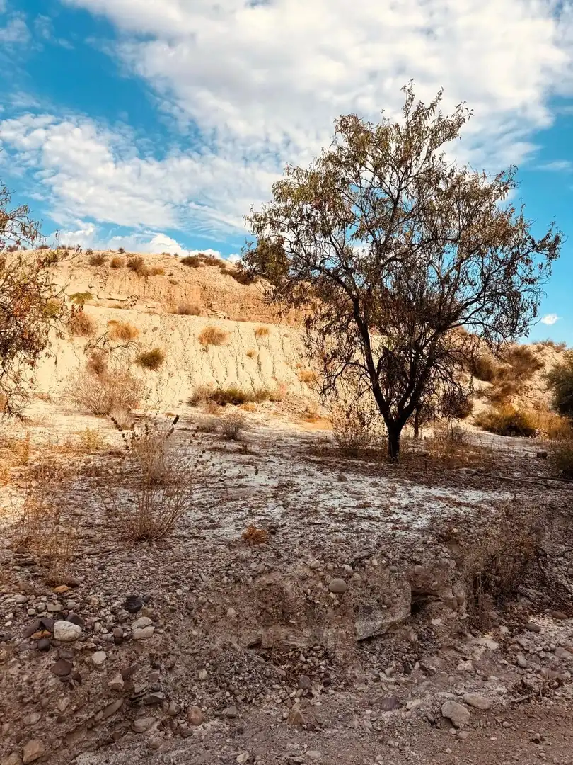 Terrain rustique à vendre à Campo de Murcia, imagen 3