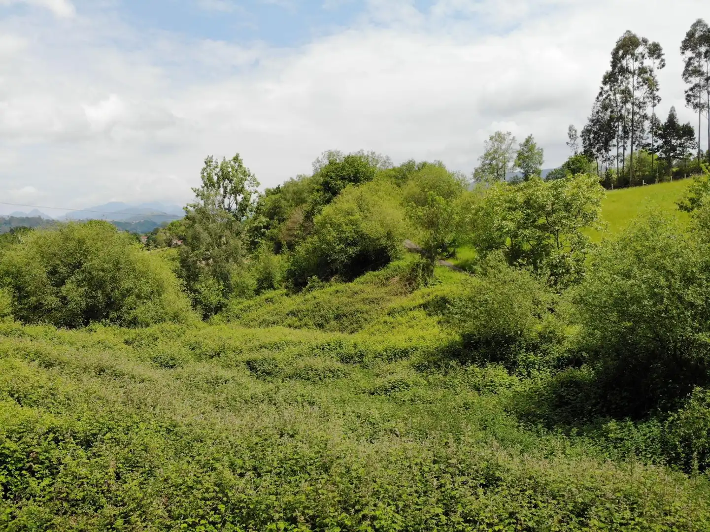 Residential for sale in Piloña