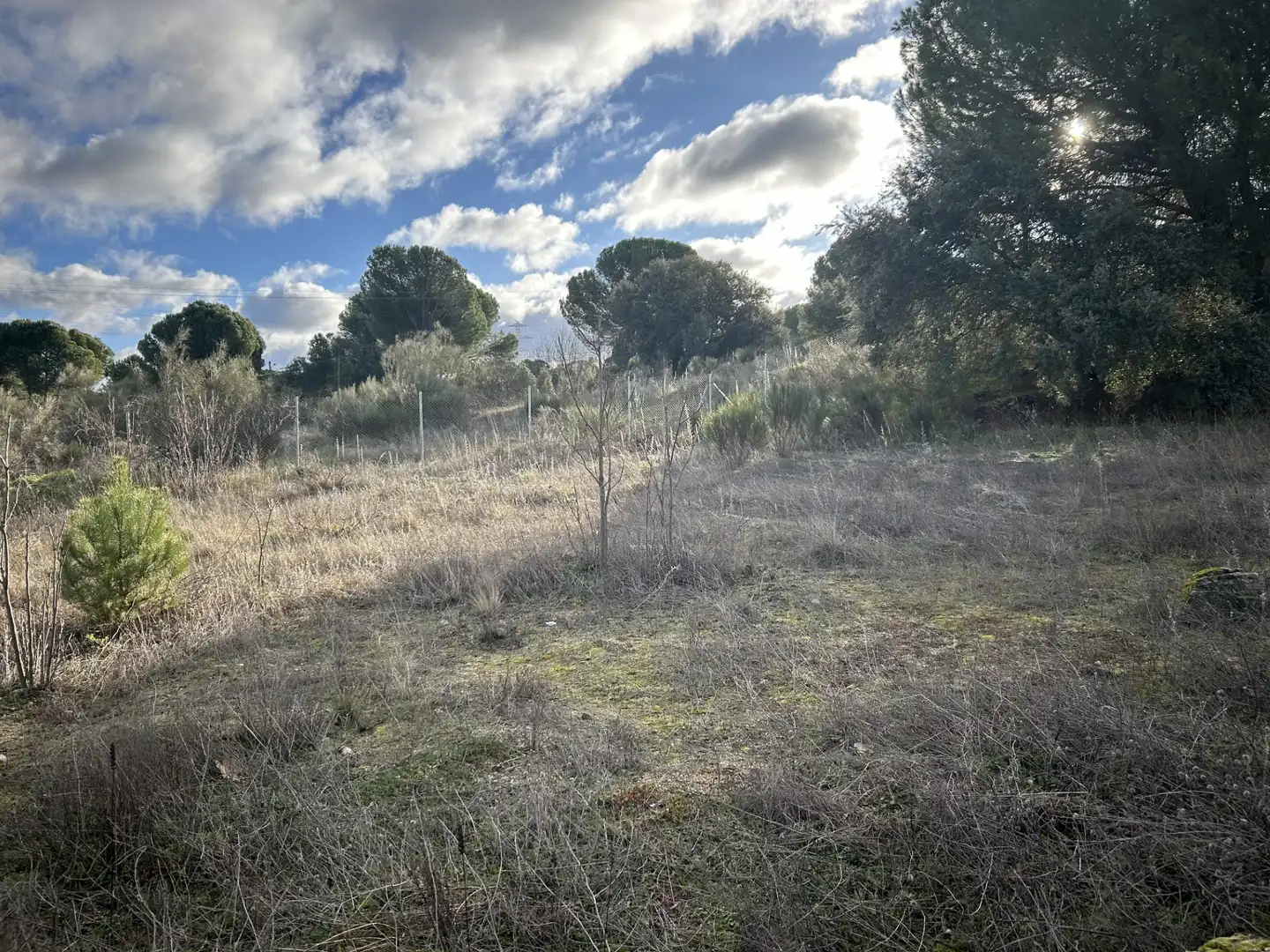Terreno en venta en El Tiemblo 