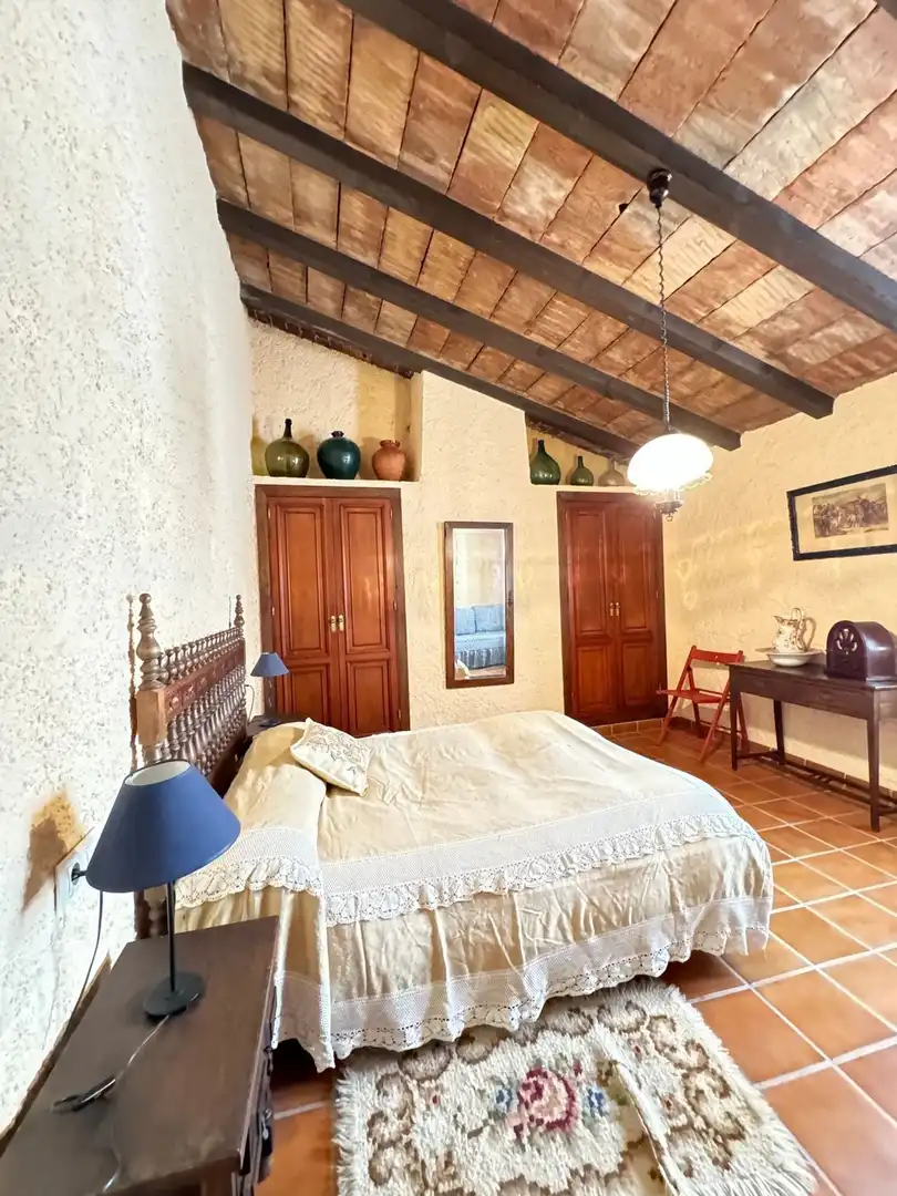 Casa rústica amb terrassa en venda a Feria 1, imagen 25
