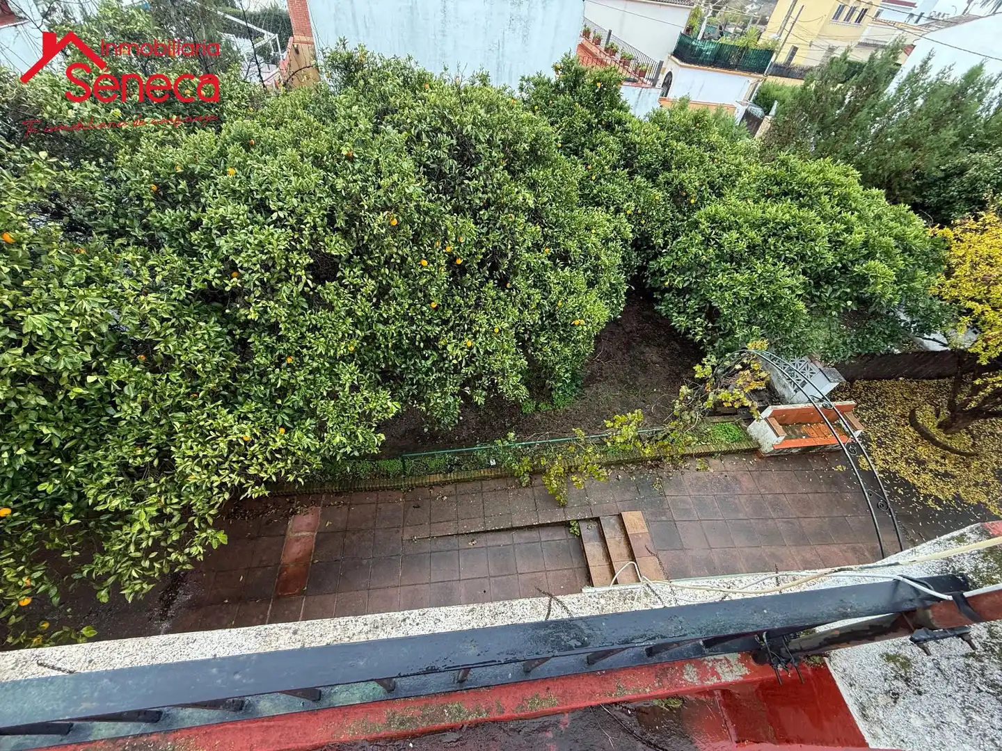 Garden of Houses for sale in Córdoba  with Swimming Pool