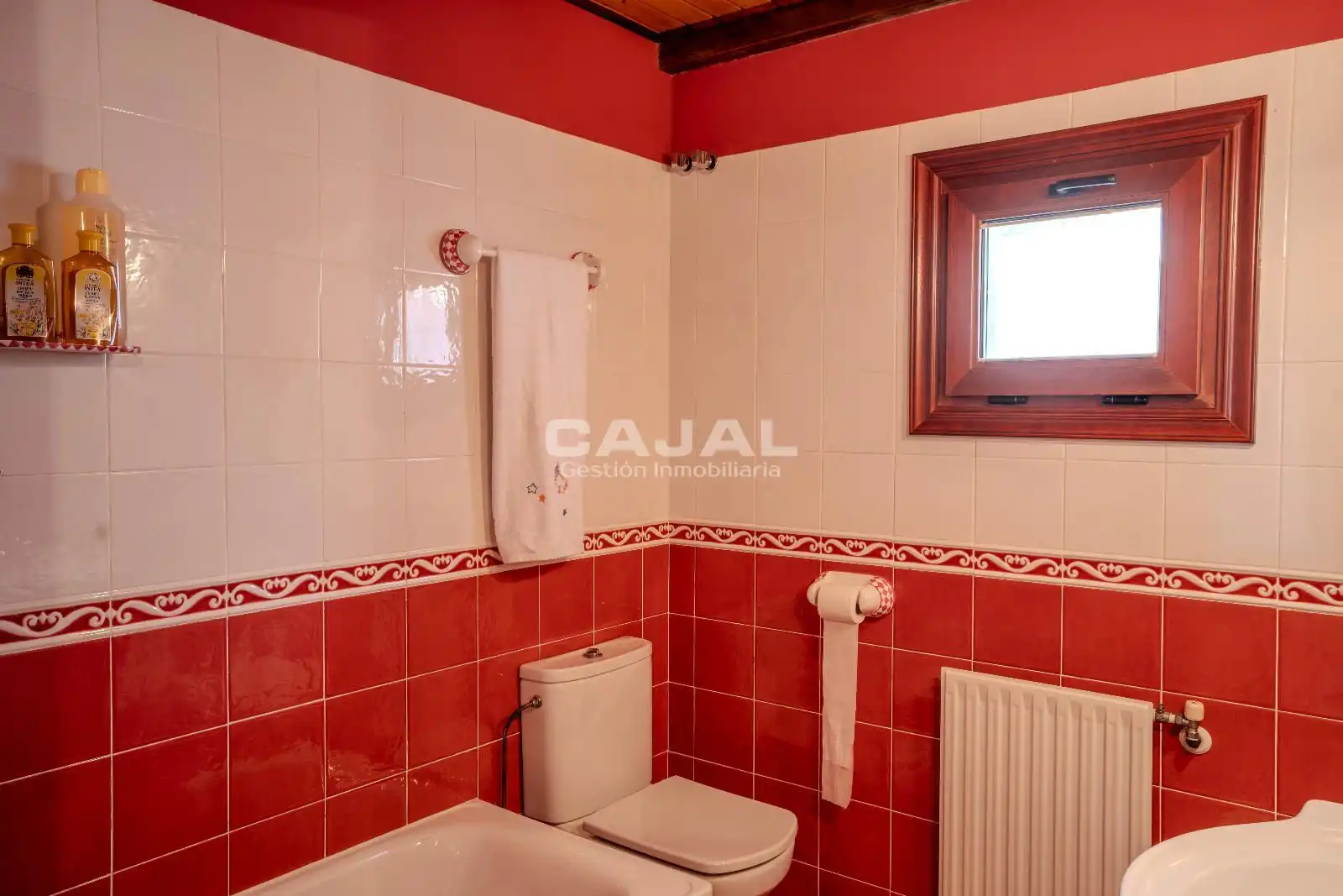 Bathroom of Detached homes for sale in Riaza  with Heating, Storage room and Swimming Pool