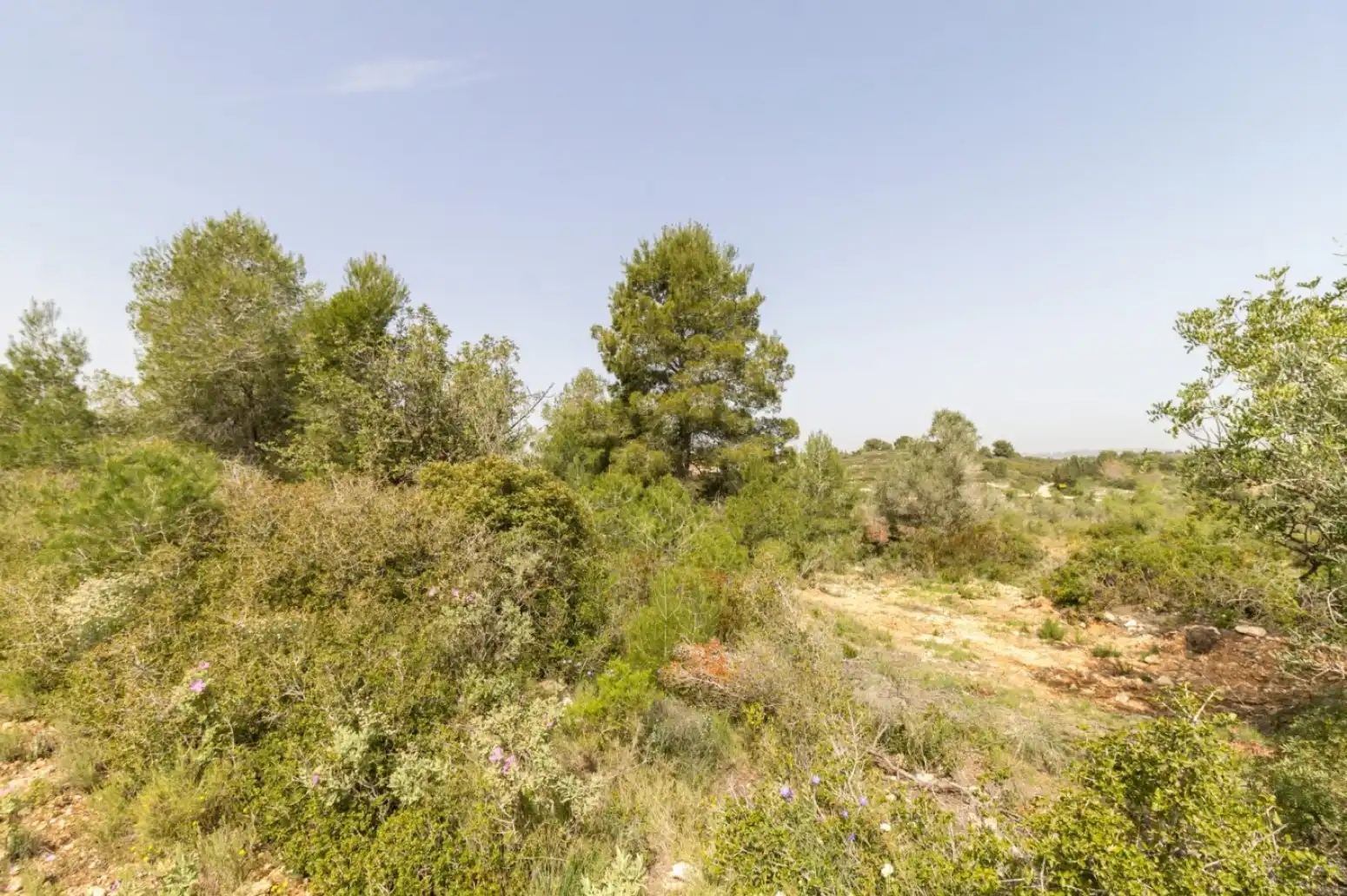 Rustikales Grundstück zum Verkauf in Monserrat - Montserrat - Calle de la malaguenya, imagen 4