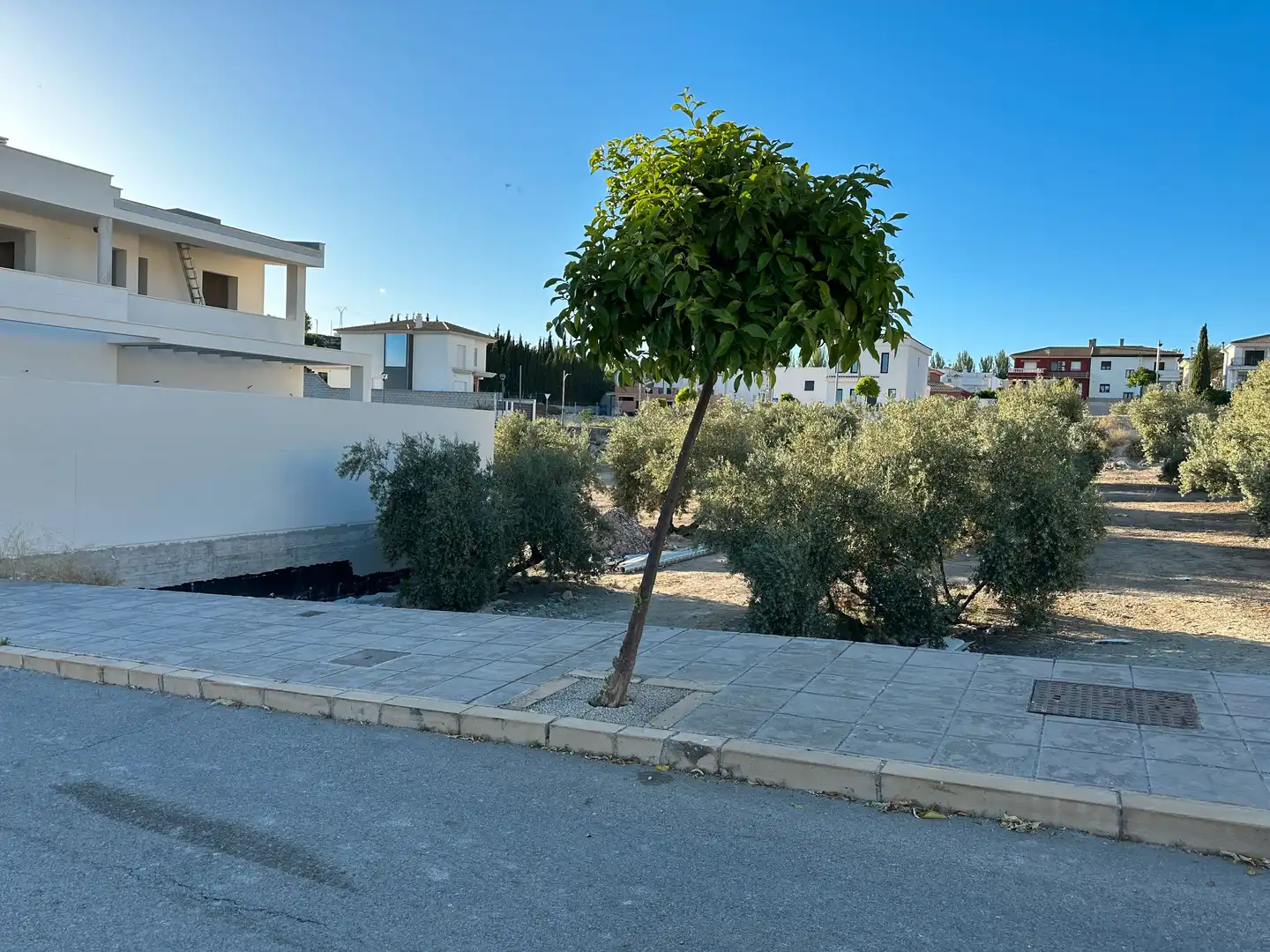 Terreni e lotti in vendita a Úbeda, imagen 4