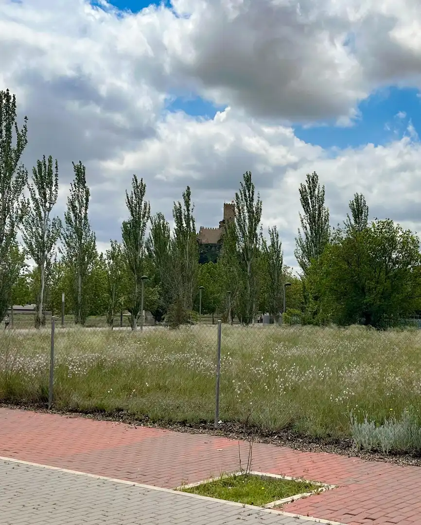 Wohnbaugrundstück zum Verkauf in Almansa, imagen 8