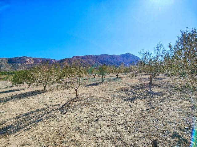 Terreno residencial en Venta en Jesús Pobre