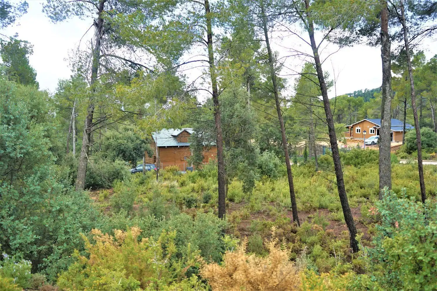 Terreno rústico en venta en Calleja Hontanar 78, imagen 19