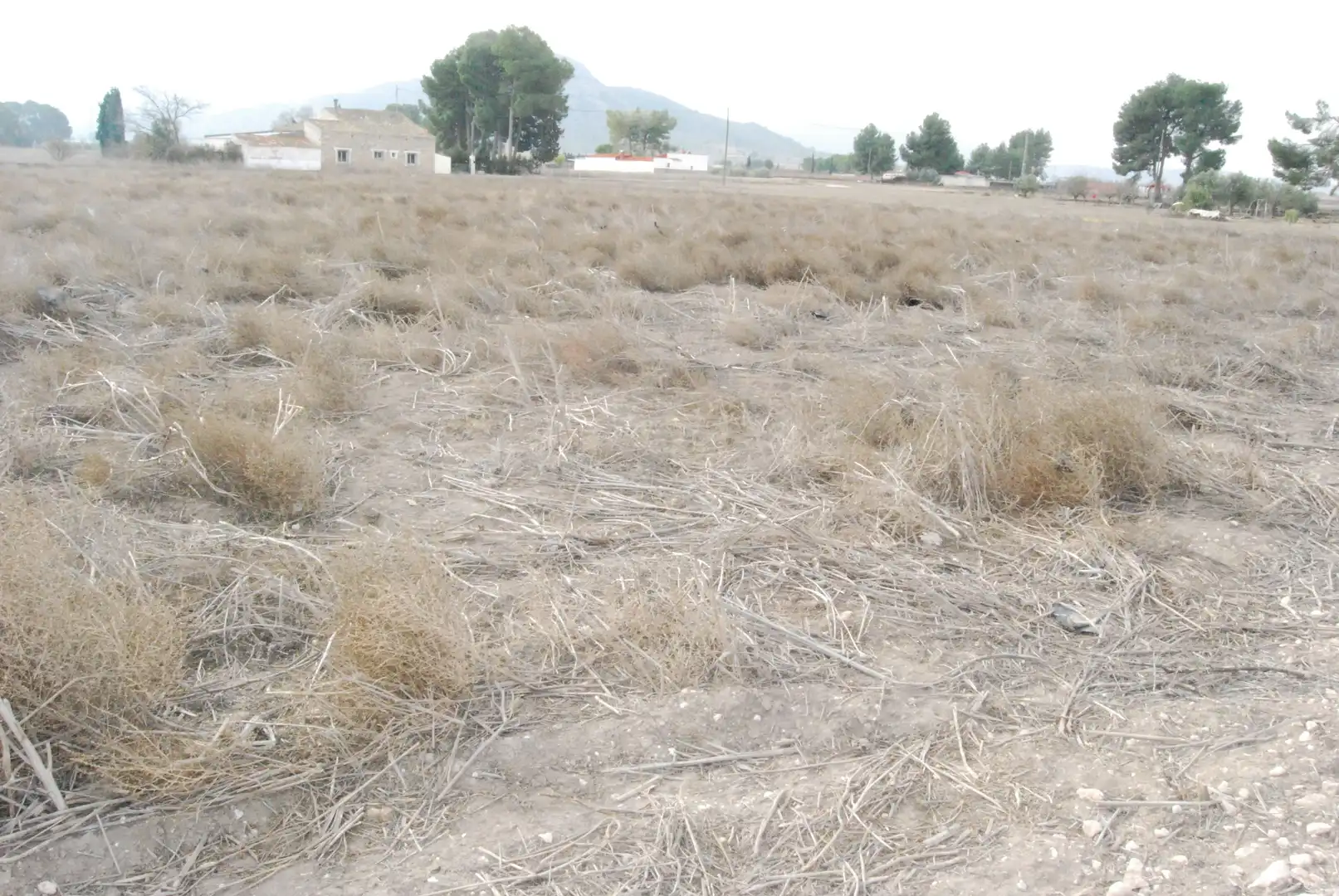 Rural land for sale in El Carril - Paseo de Chapi, imagen 8