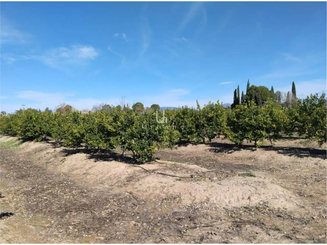 Terreny rústic en venda a Camino Huerta de Abajo, imagen 9