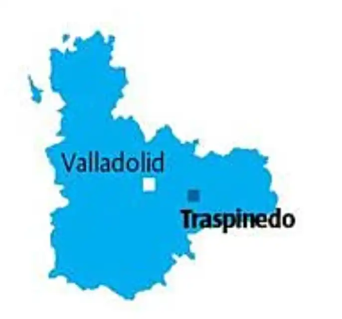 Casa o chalet en venta en Traspinedo con Trastero