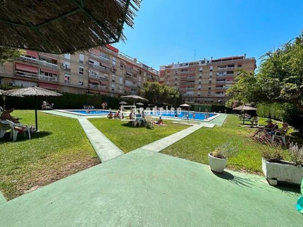 Study to rent in medico pedro herrero, Alipark