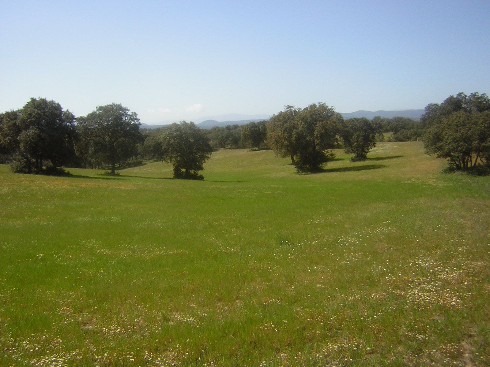 Country house for sale in Nuño Gómez