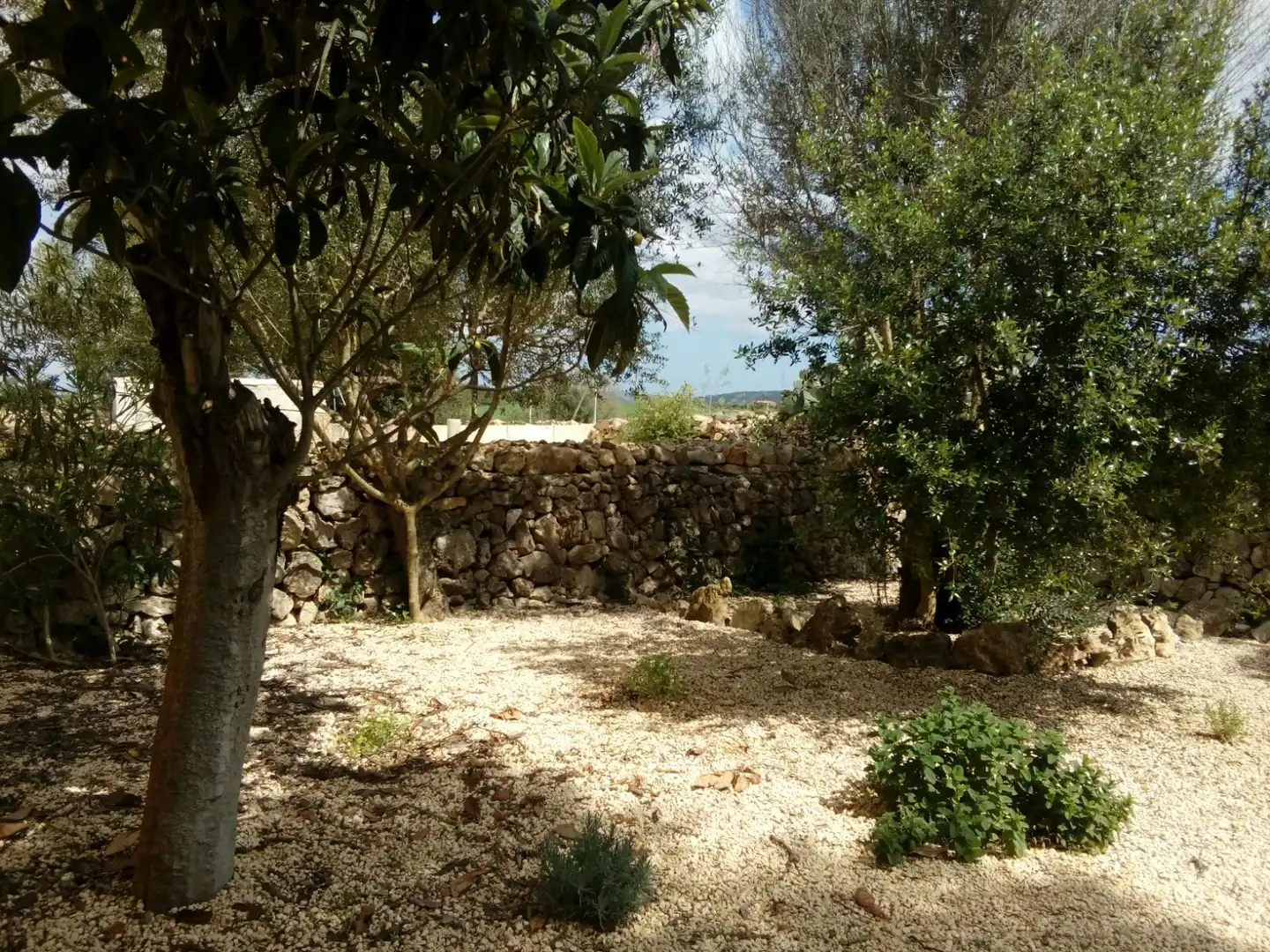 Villa avec piscine à louer à Vilafranca de Bonany, imagen 22