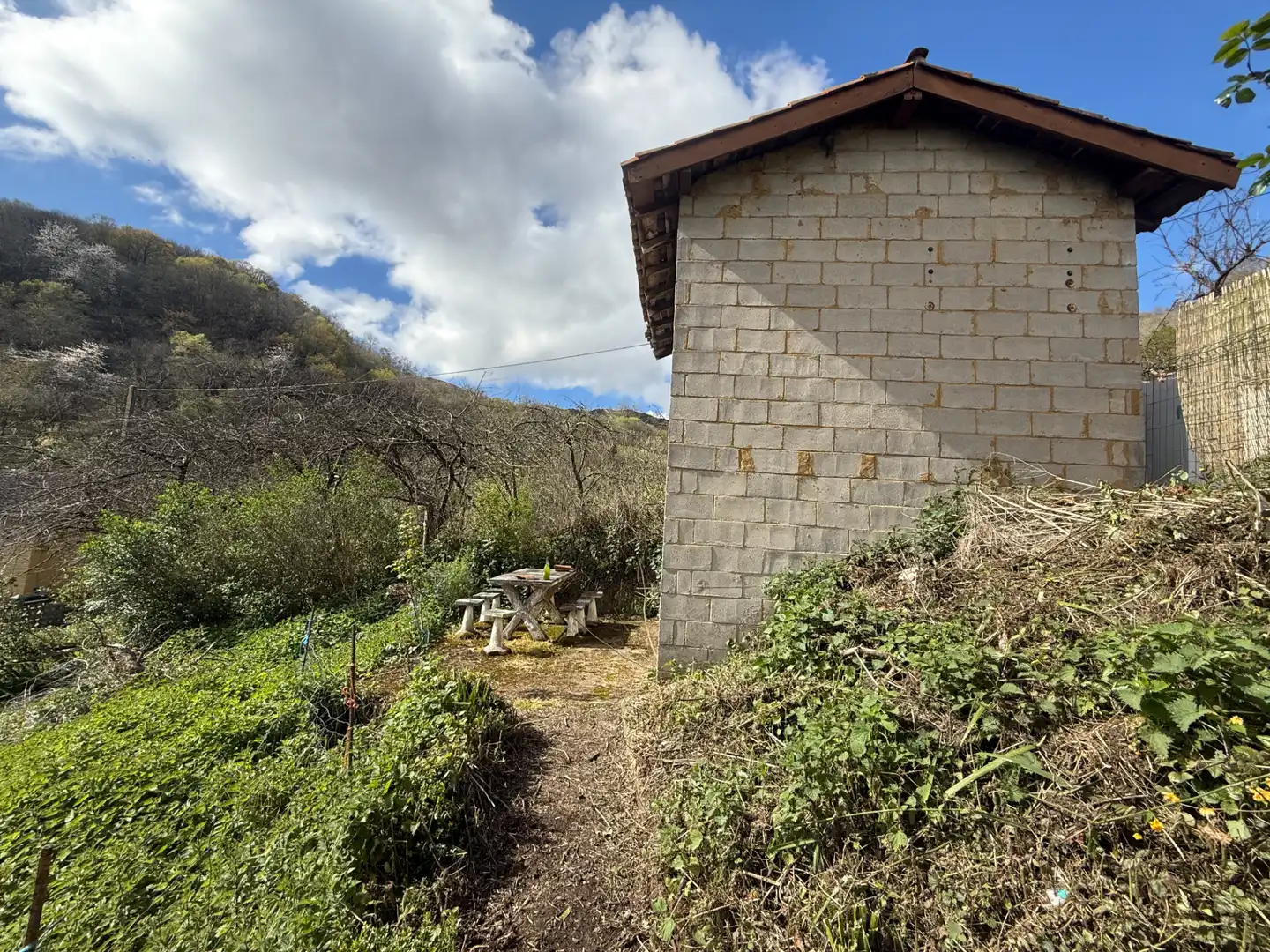Vista exterior de Casa o chalet en venta en Mieres (Asturias) con Jardín privado y Balcón