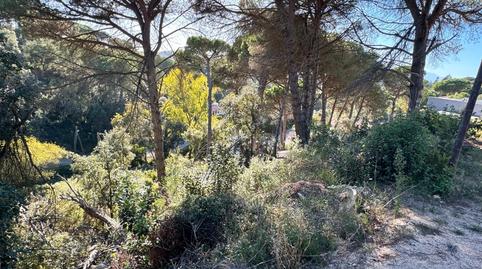 Photo 2 of Residential for sale in Carrer Garrofer, Aiguaviva Parc, Girona