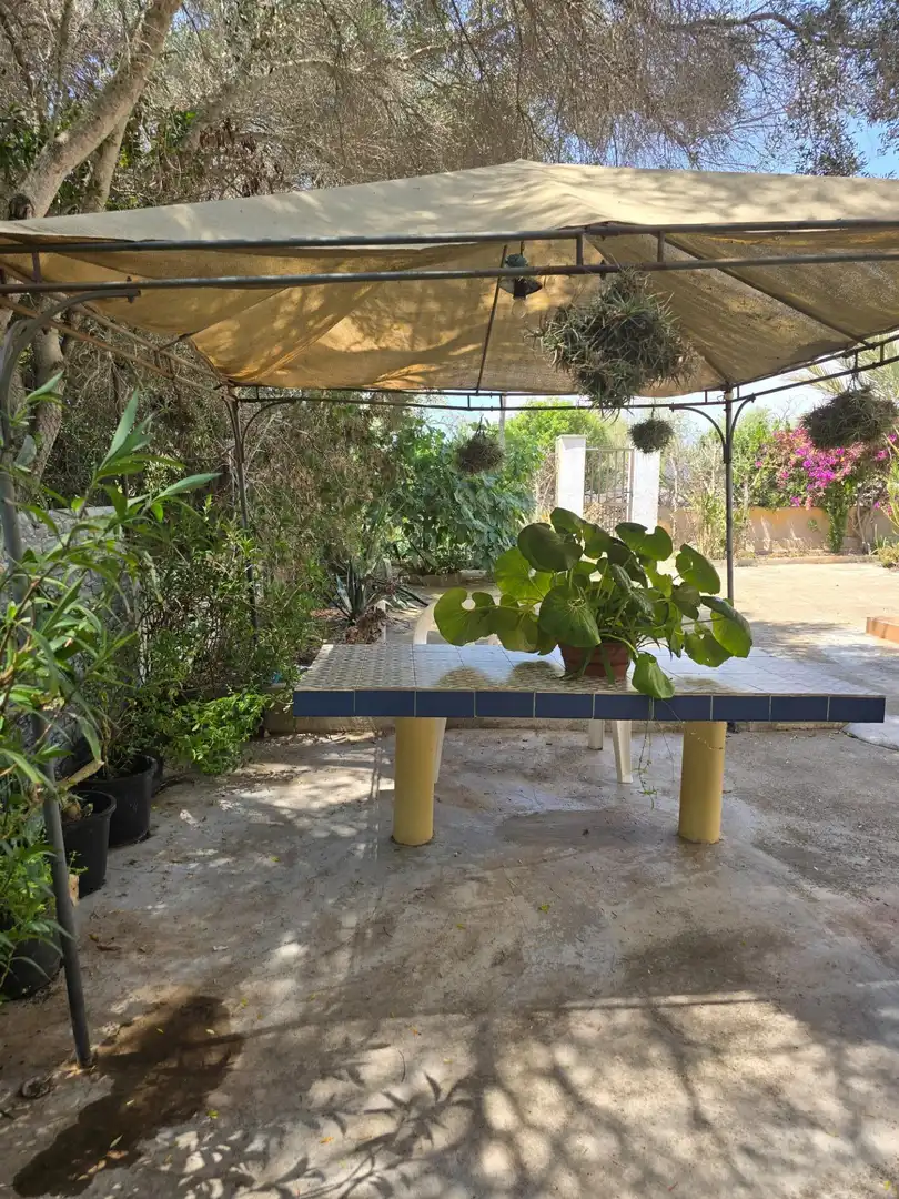 Terraza de Residencial en venta en Santanyí