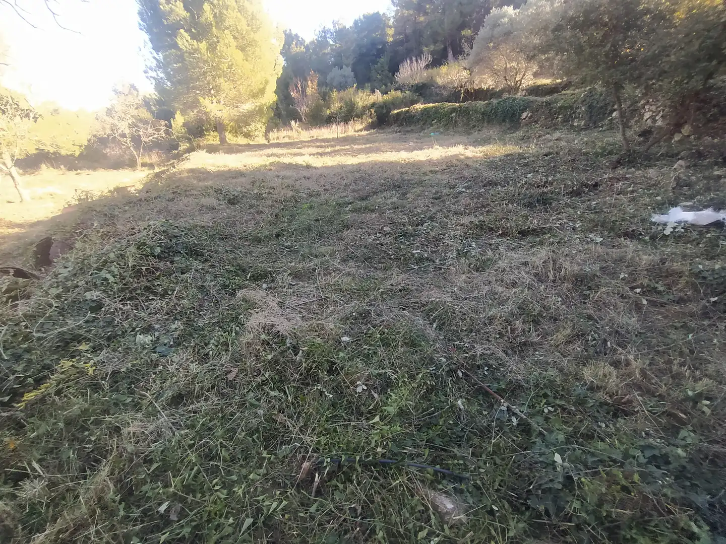 Terreny rústic en venda a Carrer de Ca n'Armengol 3, imagen 13