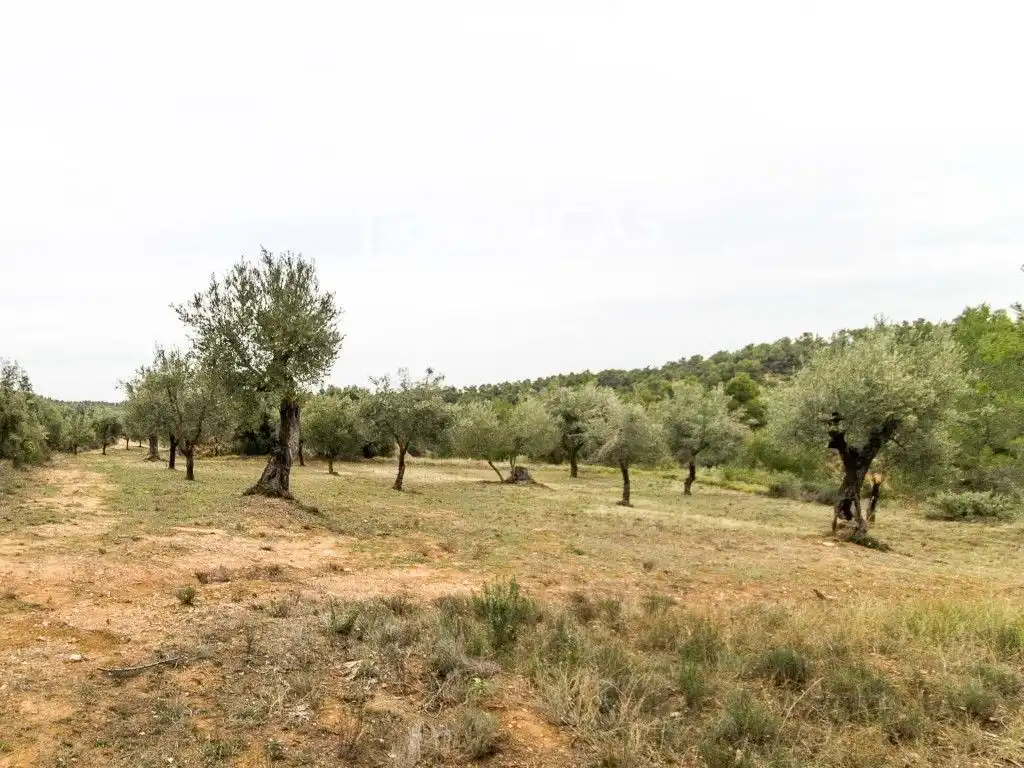 Finca rústica en venda a V6P8+CX, Cretas