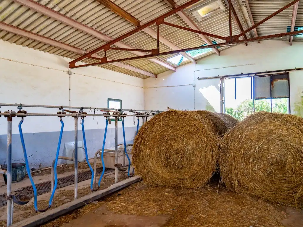 Maison rustique à vendre à Camí d'En Kane, Santa Rosa de Llima, imagen 46
