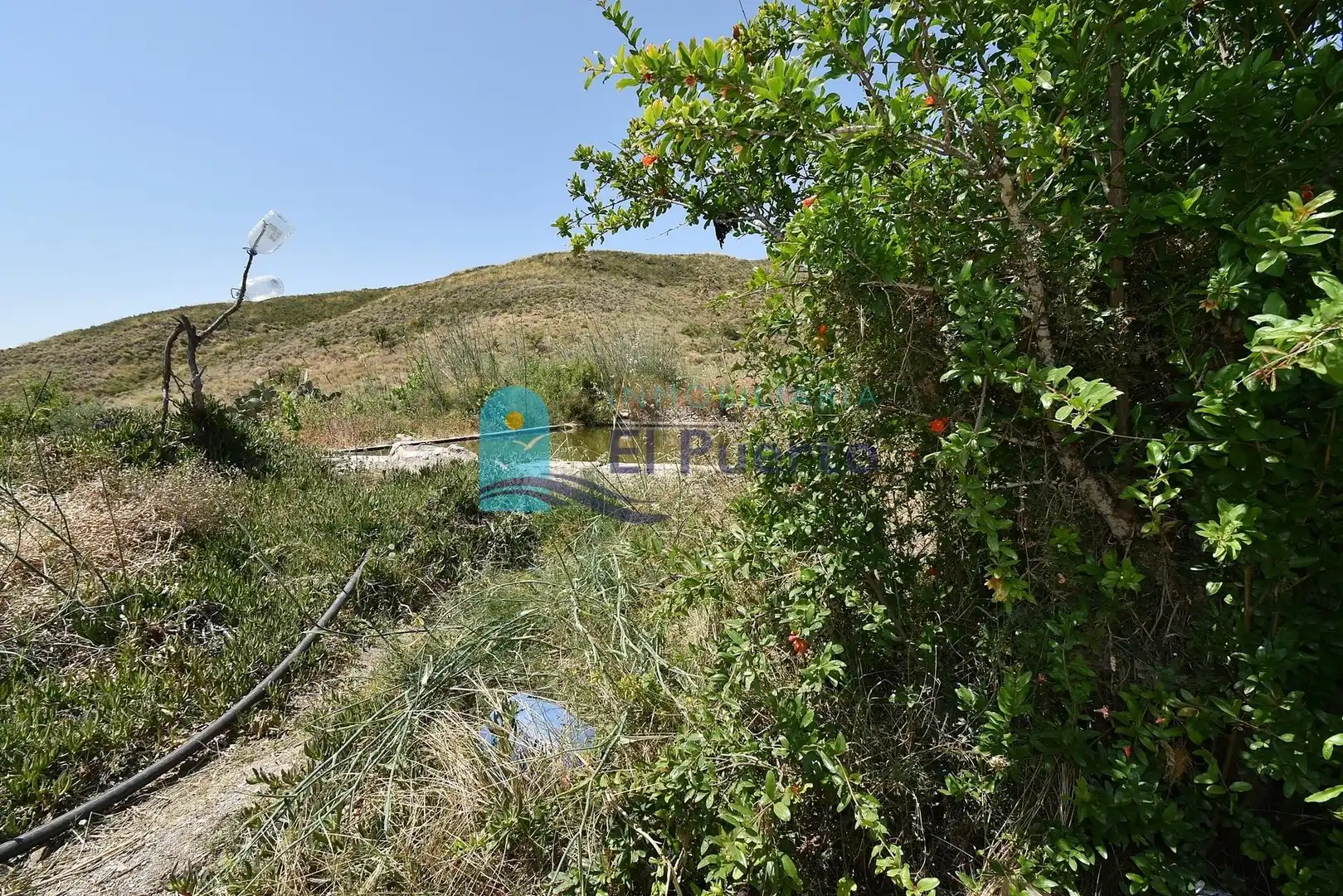 Country homes for sale in Lorca