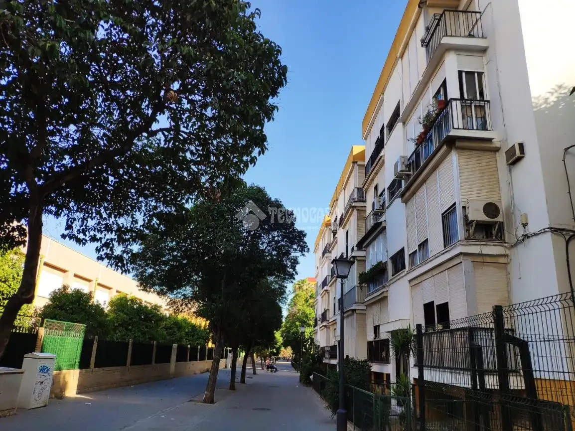 Appartement à vendre à Cerro - Amate, imagen 23