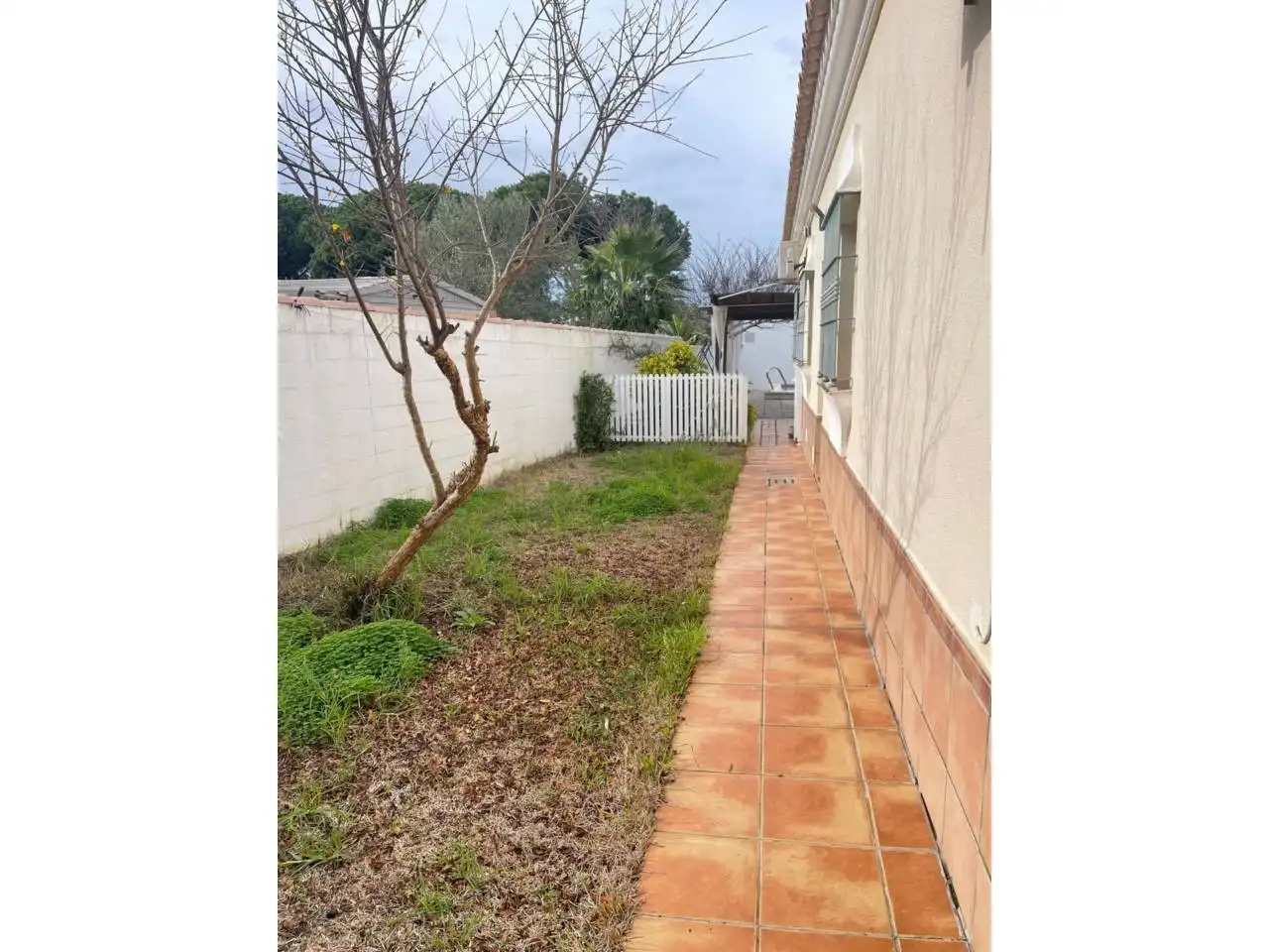 Jardí de Casa o xalet en venda en Chiclana de la Frontera amb Aire condicionat, Jardí privat i Piscina