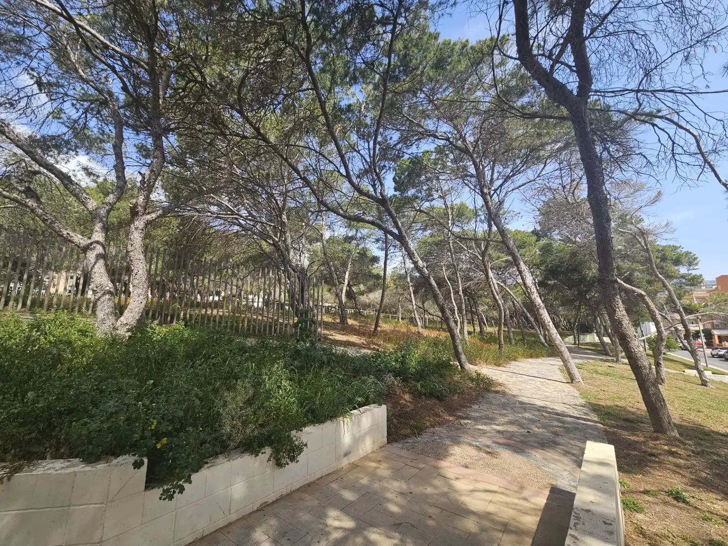 Vista exterior de Pis en venda en Guardamar del Segura amb Aire condicionat, Forn i Balcó