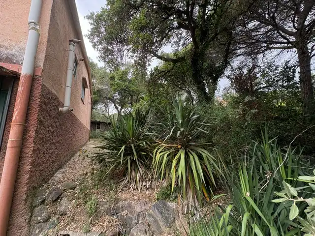 Casa o chalet en venta en Campins