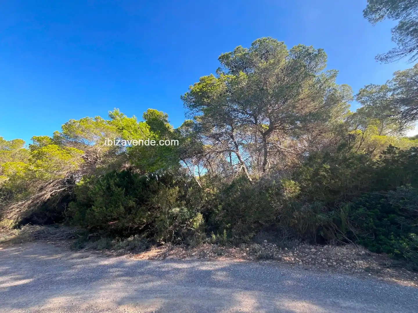 Terreno en venta en de Cala d'Hort, Es Cubells
