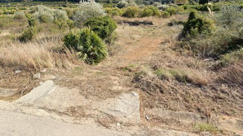 Terreno Agricola en Almiserat, image 3