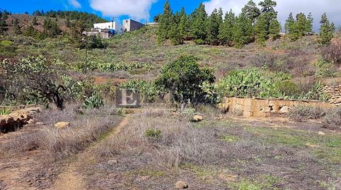 Foto 5 de Finca rústica en venda a Granadilla de Abona ciudad, Granadilla de Abona
