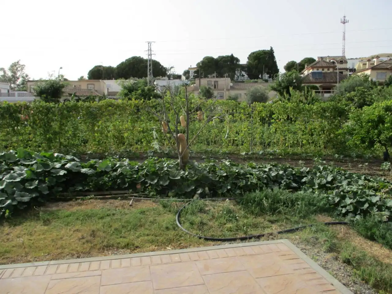 Garden of Houses for sale in Jerez de la Frontera  with Air Conditioner, Private garden and Furnished