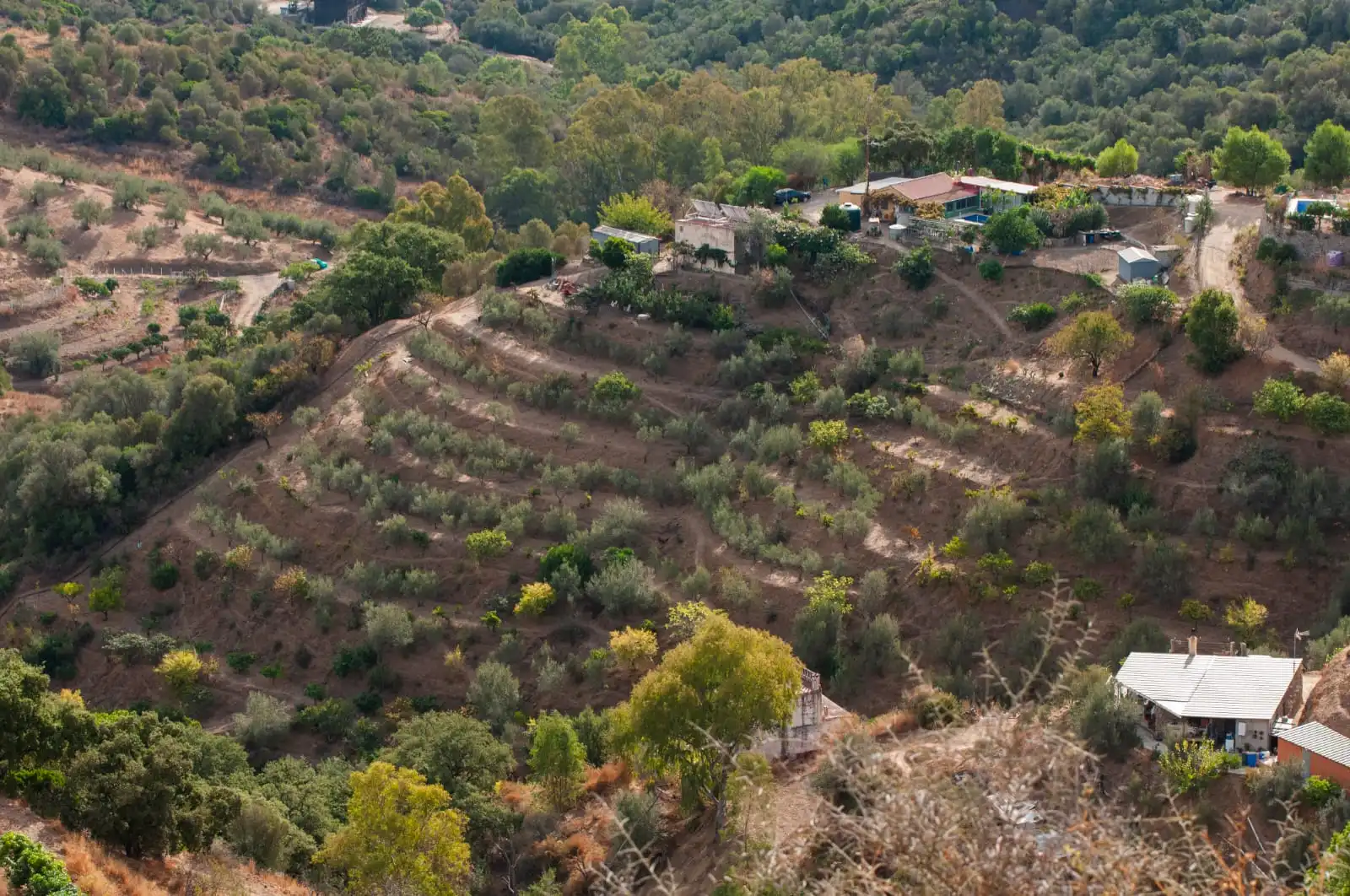 Vista exterior de Casa o xalet en venda en Marbella amb Piscina i Moblat